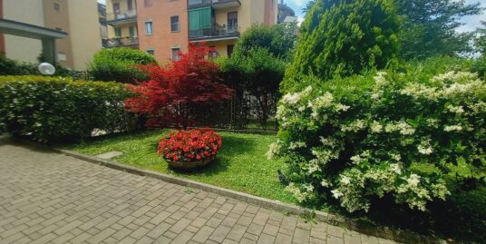 2 locali ristrutturato