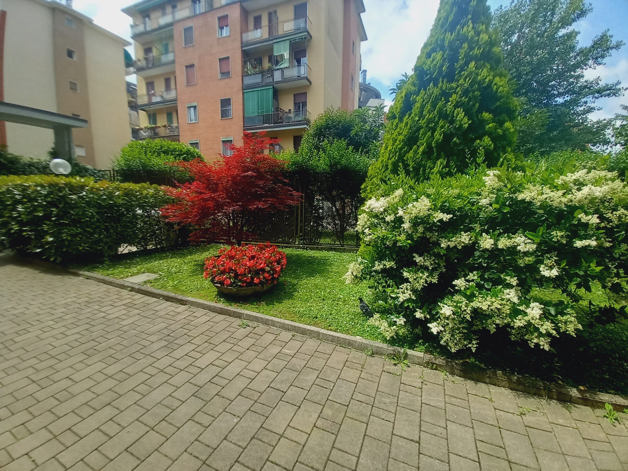 2 locali ristrutturato