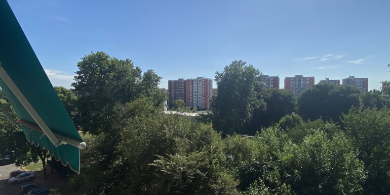 image00032