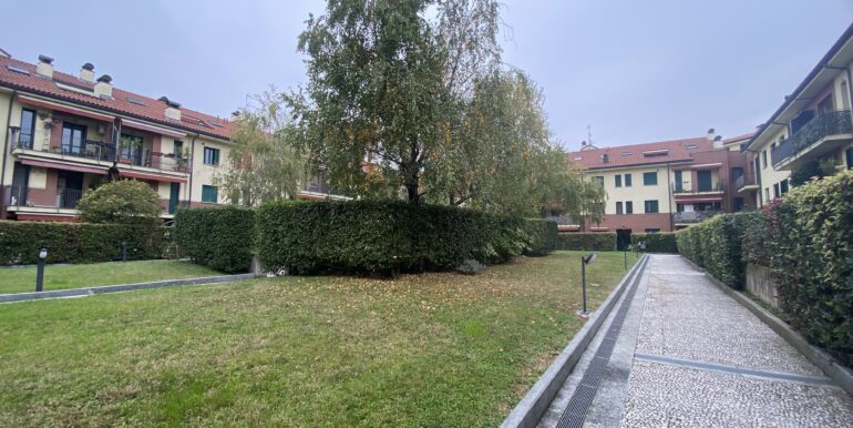 image00012